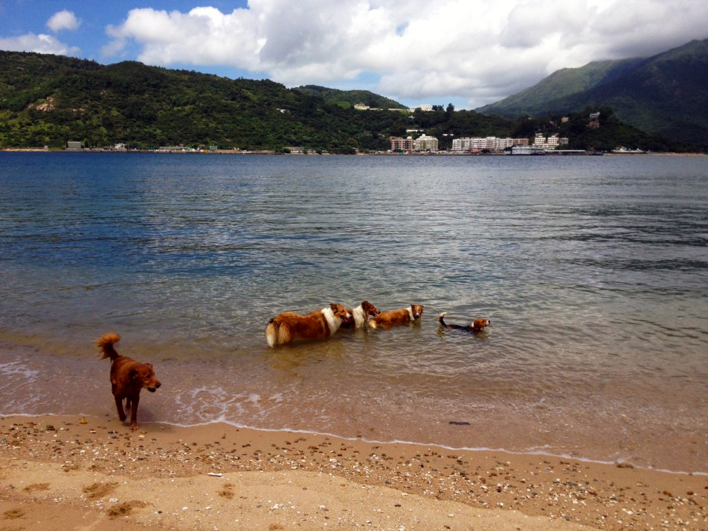 One of Mui Wo's lovely beaches